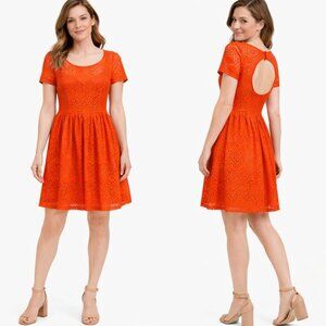 NEW Plenty Tracy Reese Stella Dress in Geranium Fit N Flare Lace Petite Size 2P